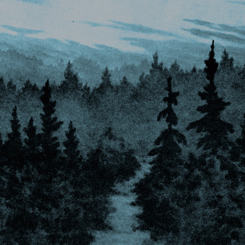 Svampprinsen : En Tidlös Skörd